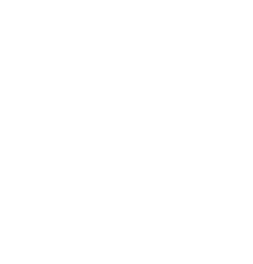 The Crow